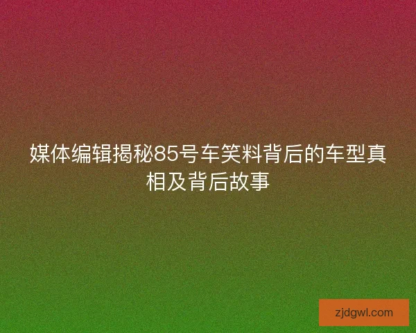 媒体编辑揭秘85号车笑料背后的车型真相及背后故事