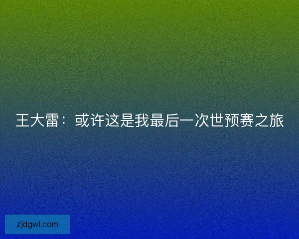 王大雷：或许这是我最后一次世预赛之旅
