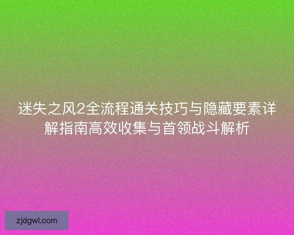 迷失之风2全流程通关技巧与隐藏要素详解指南高效收集与首领战斗解析