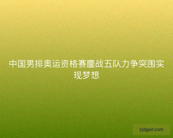 中国男排奥运资格赛鏖战五队力争突围实现梦想