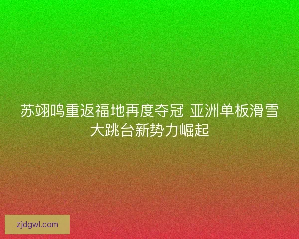 苏翊鸣重返福地再度夺冠 亚洲单板滑雪大跳台新势力崛起