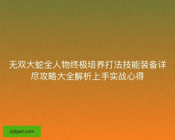 无双大蛇全人物终极培养打法技能装备详尽攻略大全解析上手实战心得