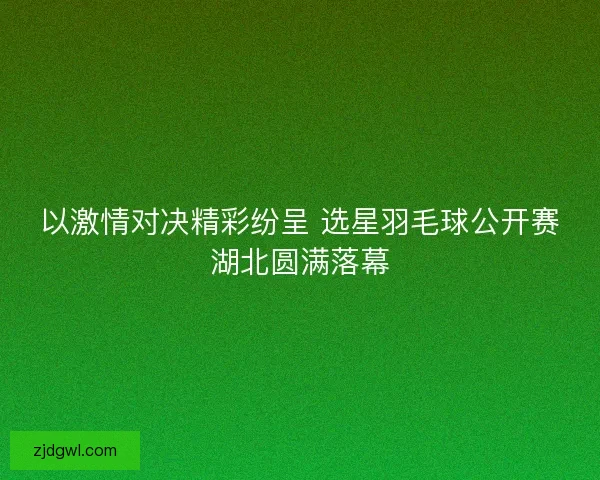 以激情对决精彩纷呈 选星羽毛球公开赛湖北圆满落幕