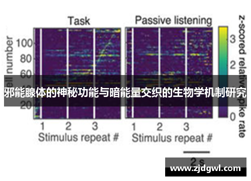 邪能腺体的神秘功能与暗能量交织的生物学机制研究